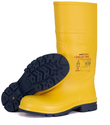 Electric Gumboots